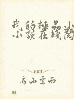 我的极品小姨 小说在线阅读