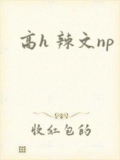 高h 辣文np