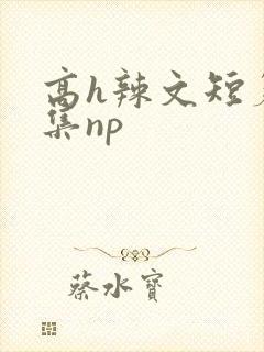 高h辣文短篇合集np