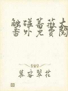 触碰蔷薇大结局番外免费阅读