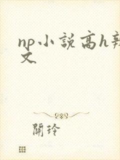 np小说高h辣文