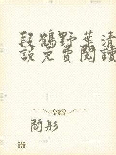 段鹤野叶清璃小说免费阅读最新章节