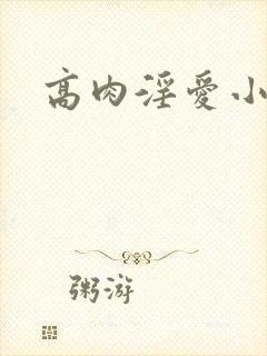 高肉淫爱小说
