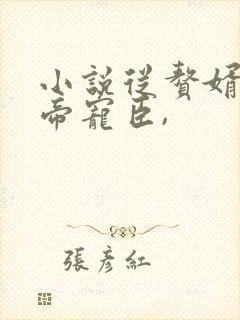 小说从赘婿到女帝宠臣,