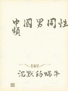 中国男同性恋视频封面