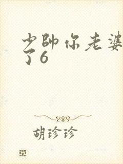 少帅你老婆又跑了6