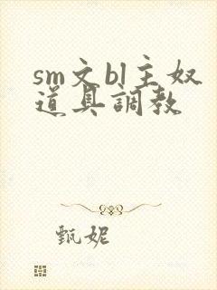 sm文bl主奴道具调教