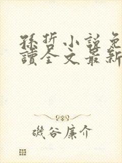 孙哲小说免费阅读全文最新章节