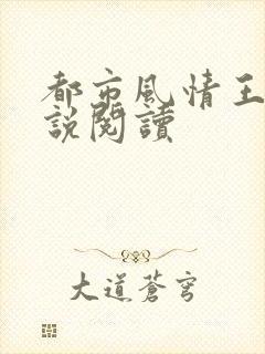 都市风情王枫小说阅读