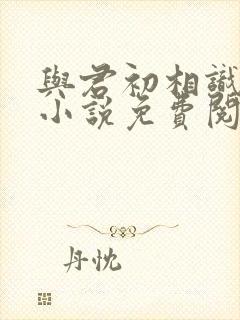 与君初相识原著小说免费阅读