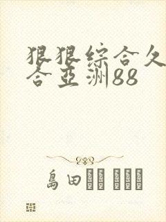 狠狠综合久久综合亚洲88