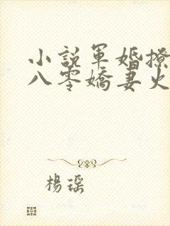 小说军婚撩人:八零娇妻火辣辣免费看封面