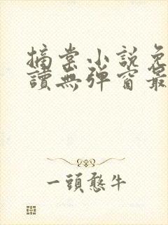 摘棠小说免费阅读无弹窗最新章节封面