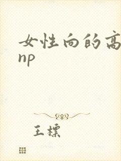 女性向的高h文np