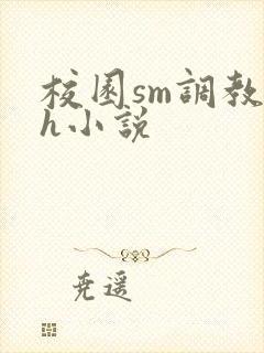 校园sm调教高h小说