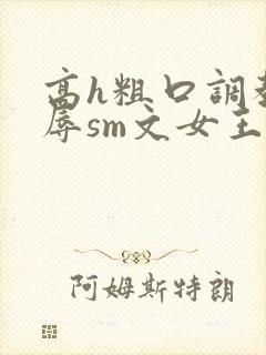 高h粗口调教羞辱sm文女王