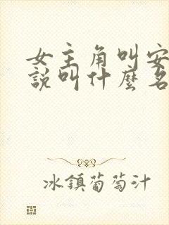 女主角叫安宁小说叫什么名字封面