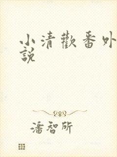 小清欢番外篇小说封面