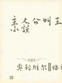 主人公叫王宇的小说