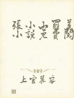 张小山罗美丽的小说免费阅读全文