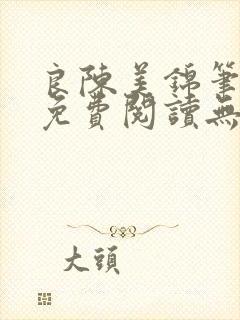 良陈美锦笔趣阁免费阅读无弹窗