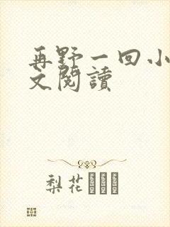 再野一回小说全文阅读