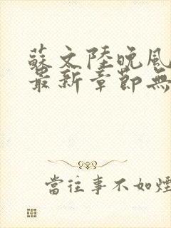 苏文陆晚风小说最新章节无弹窗