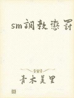sm调教惩罚文封面