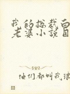 我的总裁白富美老婆小说目录章节