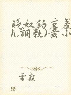 贱奴的哀羞(高h,调教)黄小洁小说封面