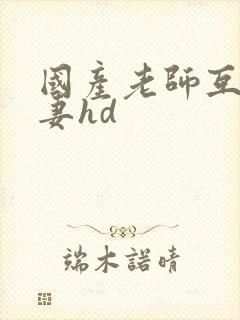 国产老师互换人妻hd