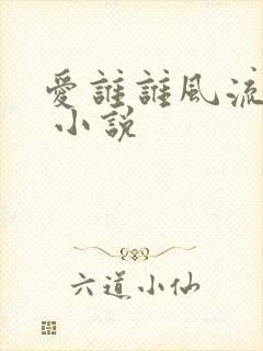 爱谁谁风流书呆 小说