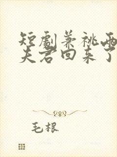 短剧兼祧两房后夫君回来了