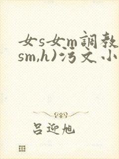 女s女m调教(sm,h)污文小说^0^/+封面