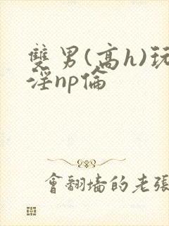 双男(高h)玩淫np伦