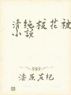 清纯校花被日常小说