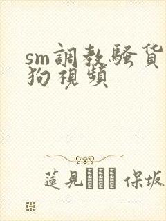 sm调教骚货母狗视频