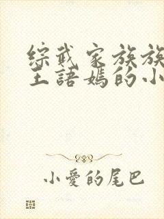 综武家族族长纳王语嫣的小说