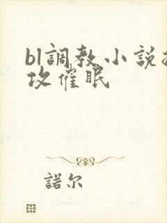 bl调教小说总攻催眠