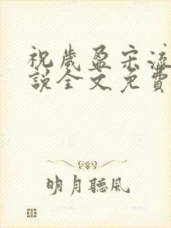 祝岁盈宋流景小说全文免费阅读最新