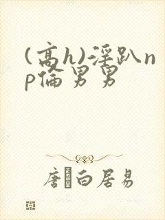 (高h)淫趴np伦男男