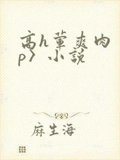 高h荤爽肉〈np〉小说封面