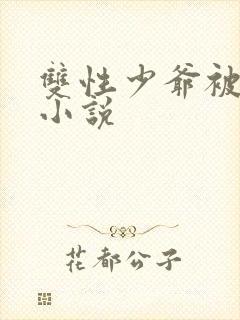 双性少爷被调教小说