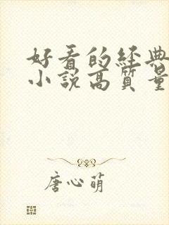 好看的经典言情小说高质量文笔好封面