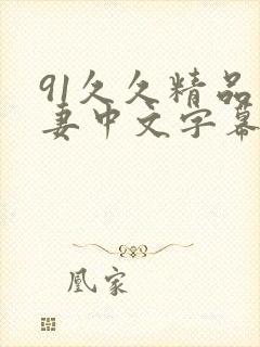 91久久精品人妻中文字幕