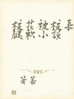 校花被校长啪到腿软小说封面