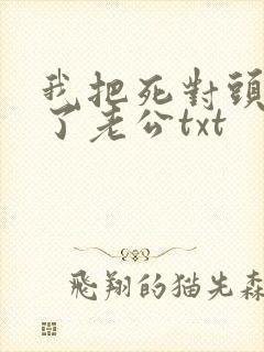 我把死对头养成了老公txt