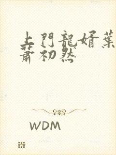 上门龙婿叶辰和萧初然