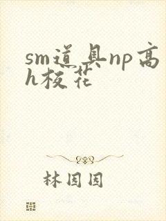 sm道具np高h校花