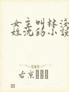 女主叫林浅男主姓沈的小说